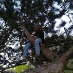 Ersteller:in Anna Profilbild