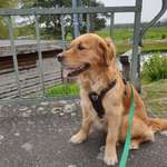 Ersteller:in Pia Profilbild