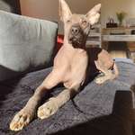 Ersteller:in Agata Profilbild