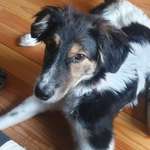 Ersteller:in Anne Profilbild