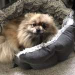 Ersteller:in Catharina Profilbild