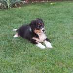 Ersteller:in Ralf Profilbild