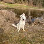 Ersteller:in Jessica Profilbild