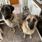 Ersteller:in Martina Profilbild