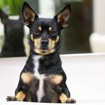 Ersteller:in Mina Profilbild