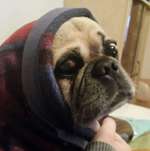 Ersteller:in Tanja Profilbild