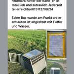 Suchmeldung-Chuck-Bild