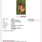 Suchmeldung-Chuck-Bild