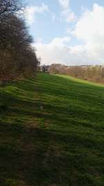 Hundeauslaufgebiet-Schlangenbusch-Bild