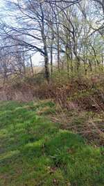 Hundeauslaufgebiet-Schlangenbusch-Bild