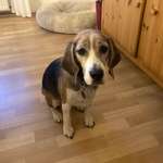 Ersteller:in Barbara Profilbild