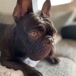 Ersteller:in Frauke Profilbild