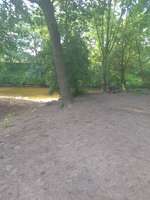 Hundeauslaufgebiet-An der Berkel-Bild