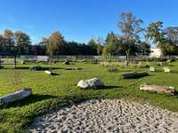 Hundeauslaufgebiet-Industriestraße-Bild