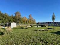 Hundeauslaufgebiet-Industriestraße-Bild