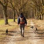 Ersteller:in Magdalena Profilbild