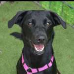 Ersteller:in Jenny Profilbild