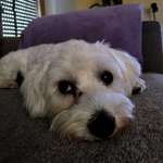 Ersteller:in Karin& Manuel Profilbild