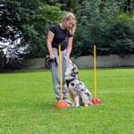 Ersteller:in Sofie Profilbild