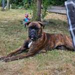 Ersteller:in Silvia Profilbild