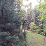 Hundeauslaufgebiet-Parkplatz an der Talsperre Lehnmühle Richtung Amelsdorf-Bild