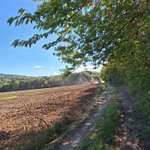 Hundeauslaufgebiet-Dippolidswalde Runde-Bild