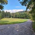 Hundeauslaufgebiet-Parkplatz an der Talsperre Lehnmühle Richtung Amelsdorf-Bild