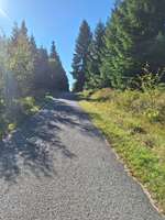 Hundeauslaufgebiet-Wanderung vom Parkplatz Kahleberg-Bild