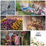 Ersteller:in Julia Profilbild