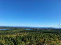 Hundeauslaufgebiet-Wanderung vom Parkplatz Kahleberg-Bild