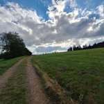 Hundeauslaufgebiet-Parkplatz an der Talsperre Lehnmühle Richtung Amelsdorf-Bild