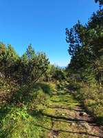 Hundeauslaufgebiet-Wanderung vom Parkplatz Kahleberg-Bild