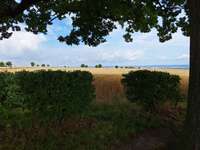 Hundeauslaufgebiet-Babisnauer Pappel-Bild