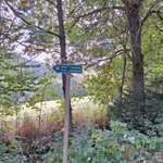 Hundeauslaufgebiet-Parkplatz an der Talsperre Lehnmühle Richtung Amelsdorf-Bild