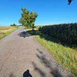 Hundeauslaufgebiet-Dippolidswalde Runde-Bild