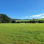 Hundeauslaufgebiet-Dippolidswalde Runde-Bild
