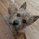 Ersteller:in Sonja Profilbild