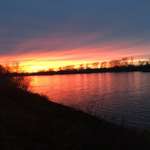 Ersteller:in Daniela Profilbild