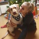 Ersteller:in Dorina Profilbild