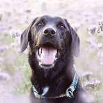 Ersteller:in Sophia Profilbild