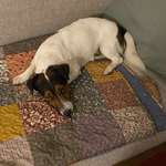 Ersteller:in Melitta Profilbild