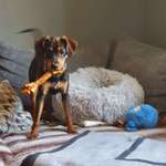 Ersteller:in Jenifer Profilbild