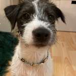 Ersteller:in Jasmin Profilbild