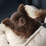 Ersteller:in Elke Profilbild