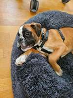 Durchfall-Beitrag-Bild