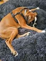 Durchfall-Beitrag-Bild