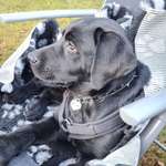 Ersteller:in Anja Profilbild