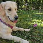 Ersteller:in Elsa Profilbild