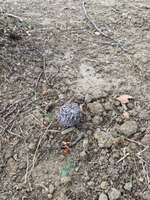 Giftköder-Beitrag-Bild