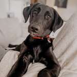 Ersteller:in Chris Profilbild